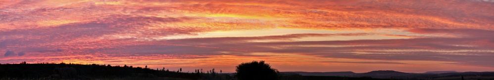 Panorama Heute Panorama Heute